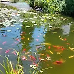 Quiet Close To Town *