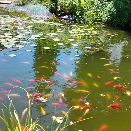 Quiet Close To Town Апартаменты Филлах