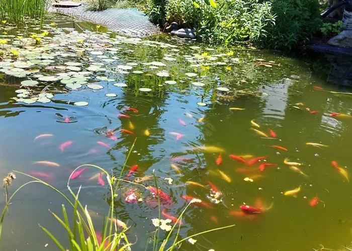 Quiet Close To Town *