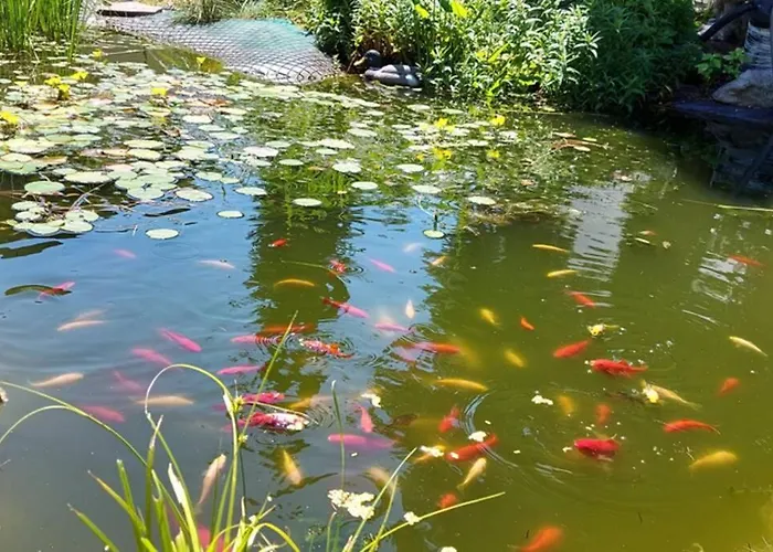 Quiet Close To Town شقة فيلاخ